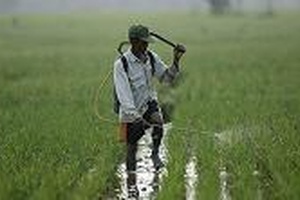 Prix agricoles : qui perd, qui gagne?